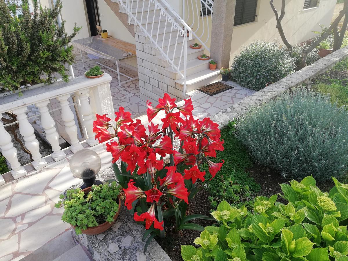 Apartment Cactus Donji Okrug  Exteriér fotografie